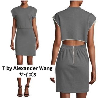 ティーバイアレキサンダーワン(T by Alexander Wang)のT by Alexander Wangコットンワンピース　グレーミニドレス(ミニワンピース)