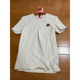 エイチアンドエム(H&M)のH＆M エイチアンドエム　Tシャツ 蛇　スネイク　プリントTシャツ(Tシャツ(半袖/袖なし))