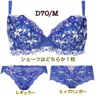 トリンプ(Triumph)のD70/M ◆トリンプ TR0072 プレミアム レッドレーベル◆ブルー(ブラ&ショーツセット)