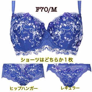 トリンプ(Triumph)のF70/M◆トリンプ TR0072 プレミアム レッドレーベル◆ブルー(ブラ&ショーツセット)