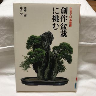 加藤三郎創作盆栽に挑む : 生きている芸術