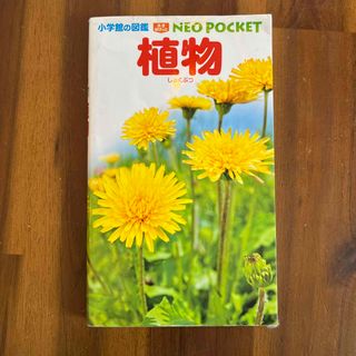 植物　図鑑　ポケット図鑑(絵本/児童書)