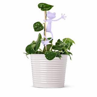 フライングタイガーコペンハーゲン(Flying Tiger Copenhagen)の植物ホルダー（カエル）2個セット(置物)