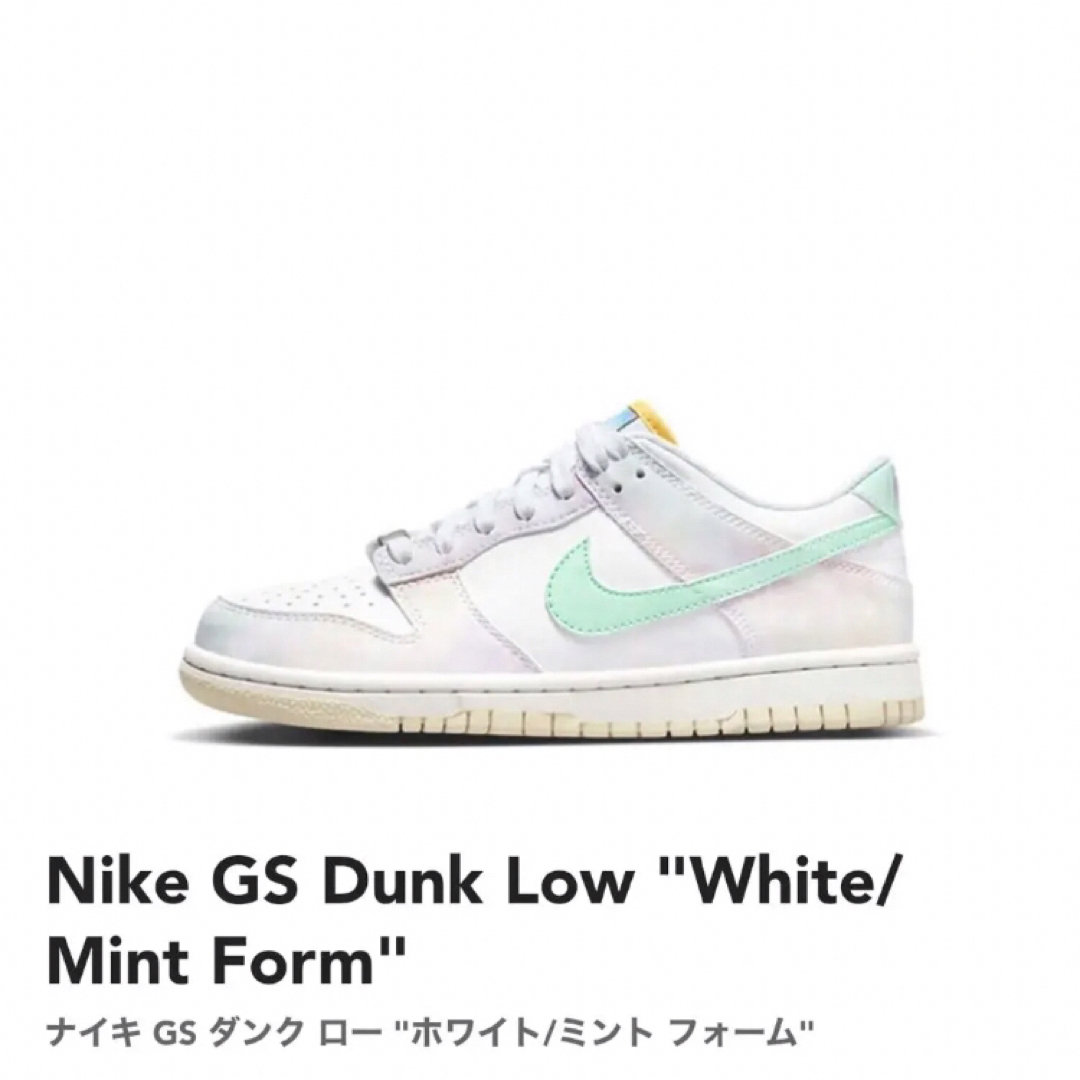 レア限定　パステル　ペイズリー24cm【新品】NIKE GS DUNK LOW