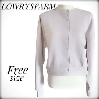 ローリーズファーム(LOWRYS FARM)の超美品✨️ ローリーズファーム グレー 系 秋 アウター ブルゾン フリーサイズ(ブルゾン)