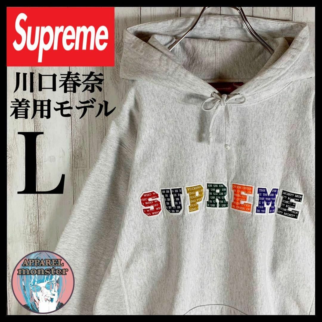 supreme 超希少‼️川口春奈着用　センターロゴ　パーカー