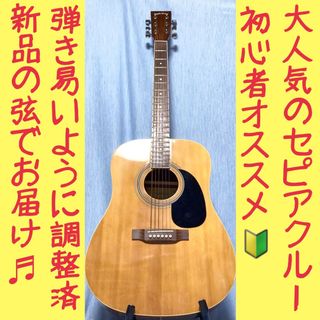 中古】 14ページ目 - アコースティックギターの通販 7,000点以上（楽器