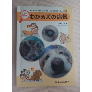 わかる犬の病気　中古(その他)