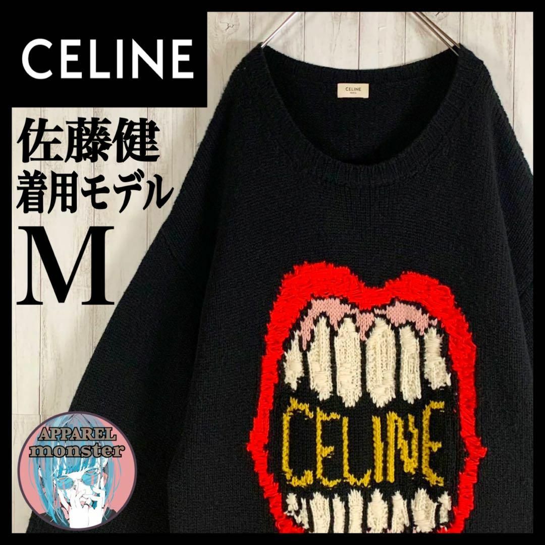 【佐藤健着用モデル】CELINE セリーヌ エディスリマン 即完売モデル ニット | フリマアプリ ラクマ