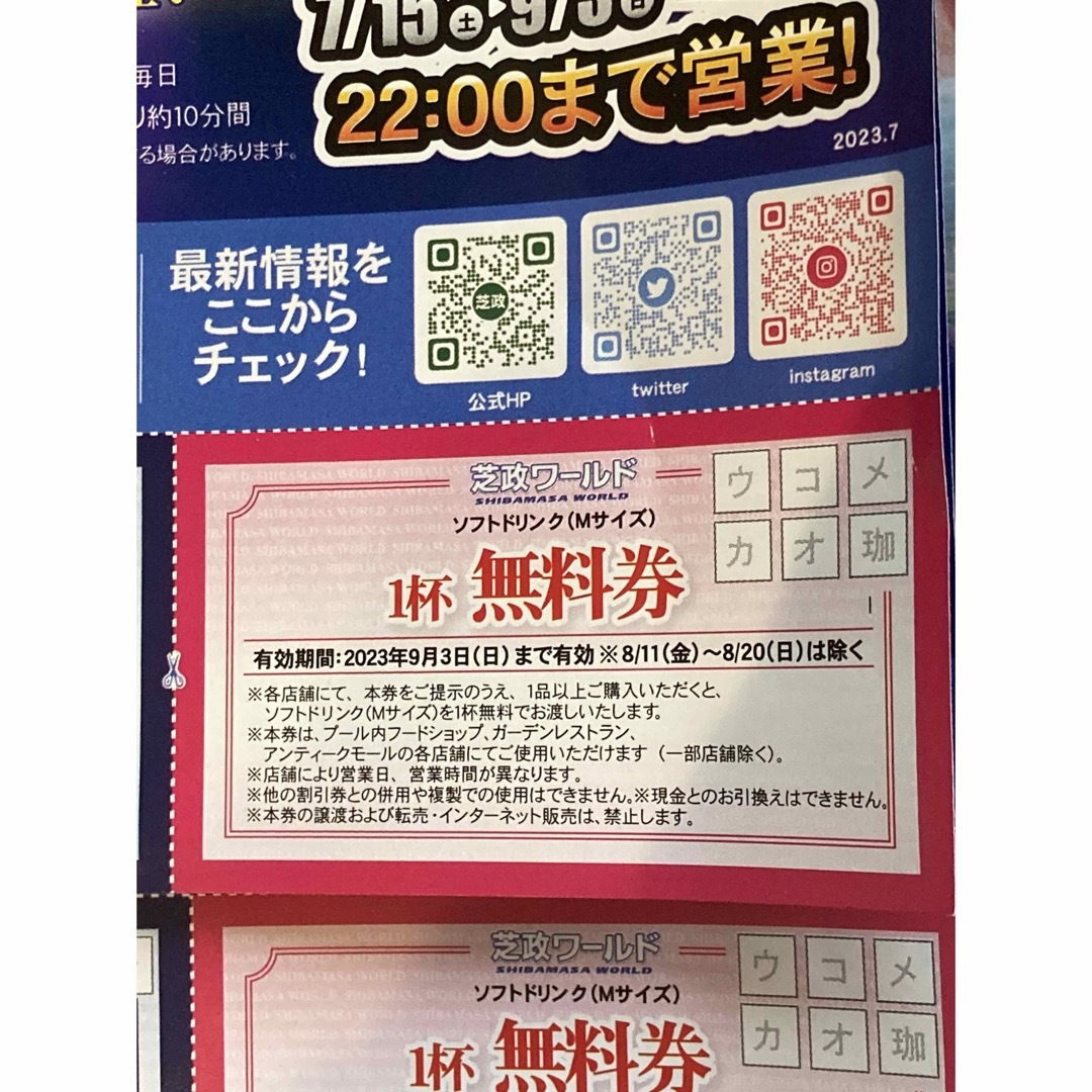 芝政ワールド　クーポン　8枚 チケットの施設利用券(プール)の商品写真