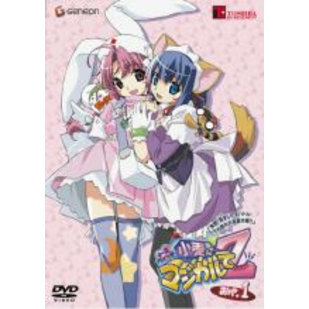 ナースウィッチ小麦ちゃん マジカルて マジカルてZ dvd 全巻セット