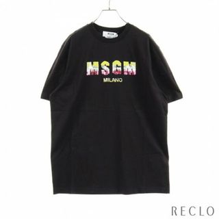 エムエスジイエム(MSGM)の Tシャツ カットソー クルーネック スパンコール ロゴ 刺繍 ブラック マルチカラー(Tシャツ(半袖/袖なし))