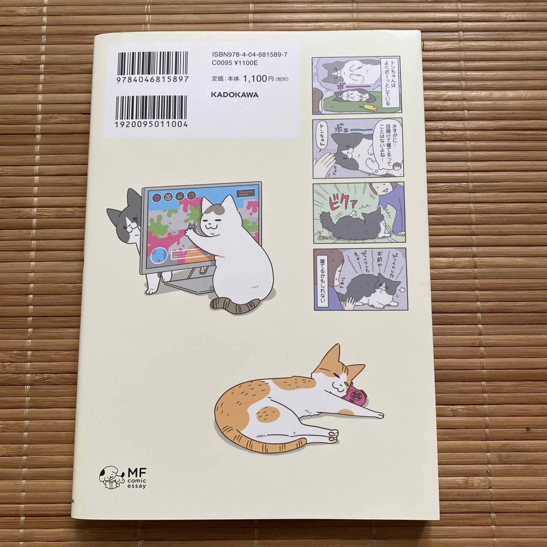 うちの猫がまた変なことしてる。 ７ エンタメ/ホビーの本(文学/小説)の商品写真