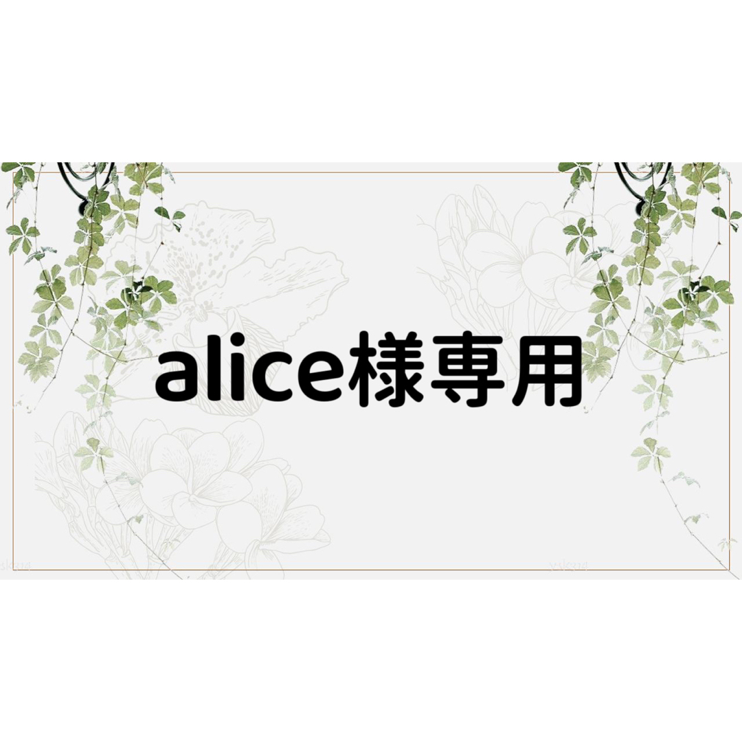 合計14点ご購入Alice 専用ページ - aconsoft.com