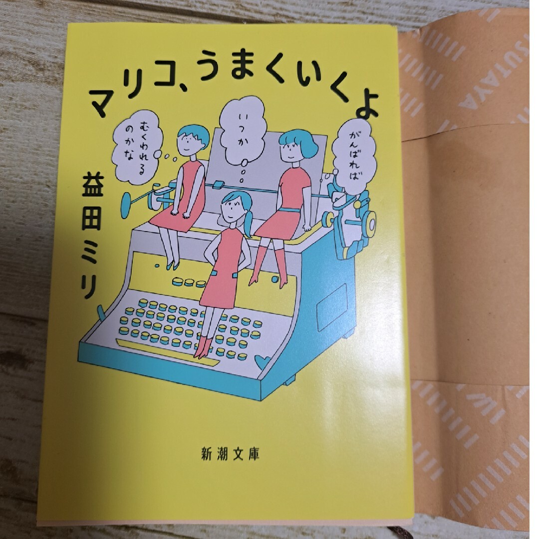 マリコ、うまくいくよ エンタメ/ホビーの漫画(その他)の商品写真