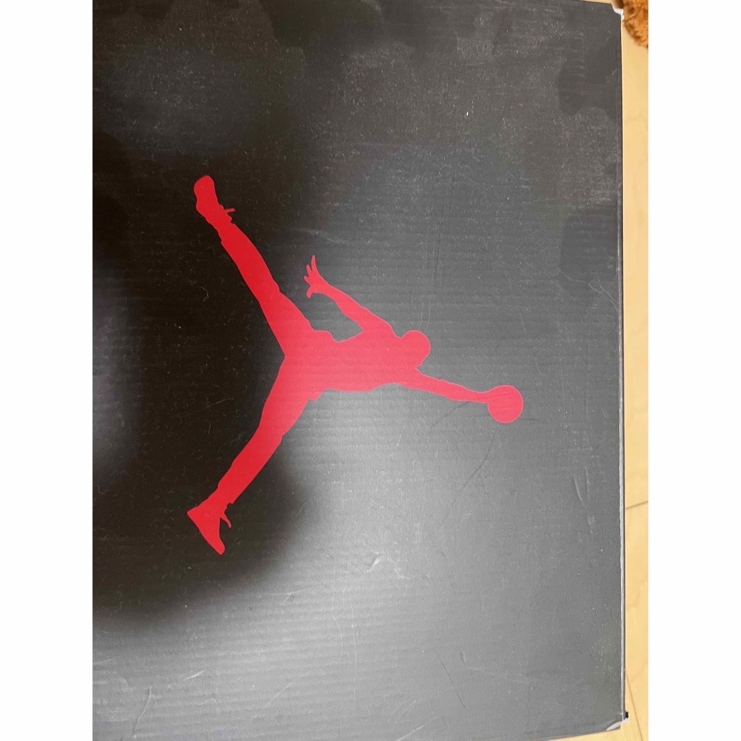 Jordan Brand（NIKE）(ジョーダン)のNike AirJordan6 INFRARED メンズの靴/シューズ(スニーカー)の商品写真