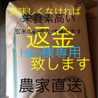 hiro様専用　予約13日発送　新米無農薬純こしひかり30㎏  玄米(米/穀物)