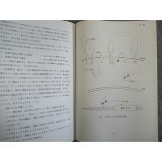 VG20-007 代々木ゼミナール 2次私大 日本史（史料編） 【絶版・希少本】 1985 08s9D