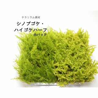 ハーフの通販 100点以上(ハンドメイド) | お得な新品・中古・未使用
