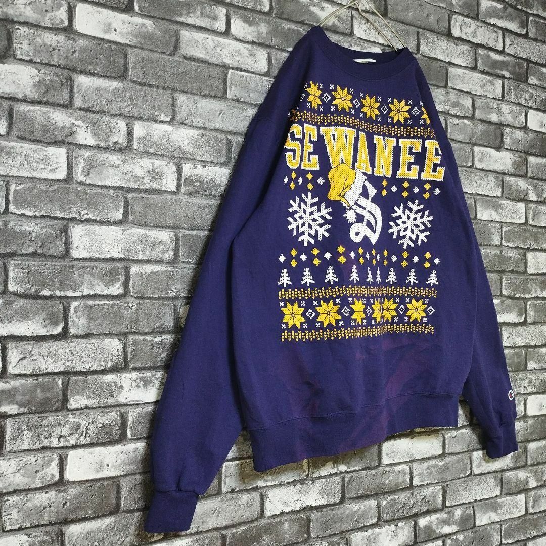 Champion - チャンピオンプルオーバースウェットトレーナー刺繍ワン