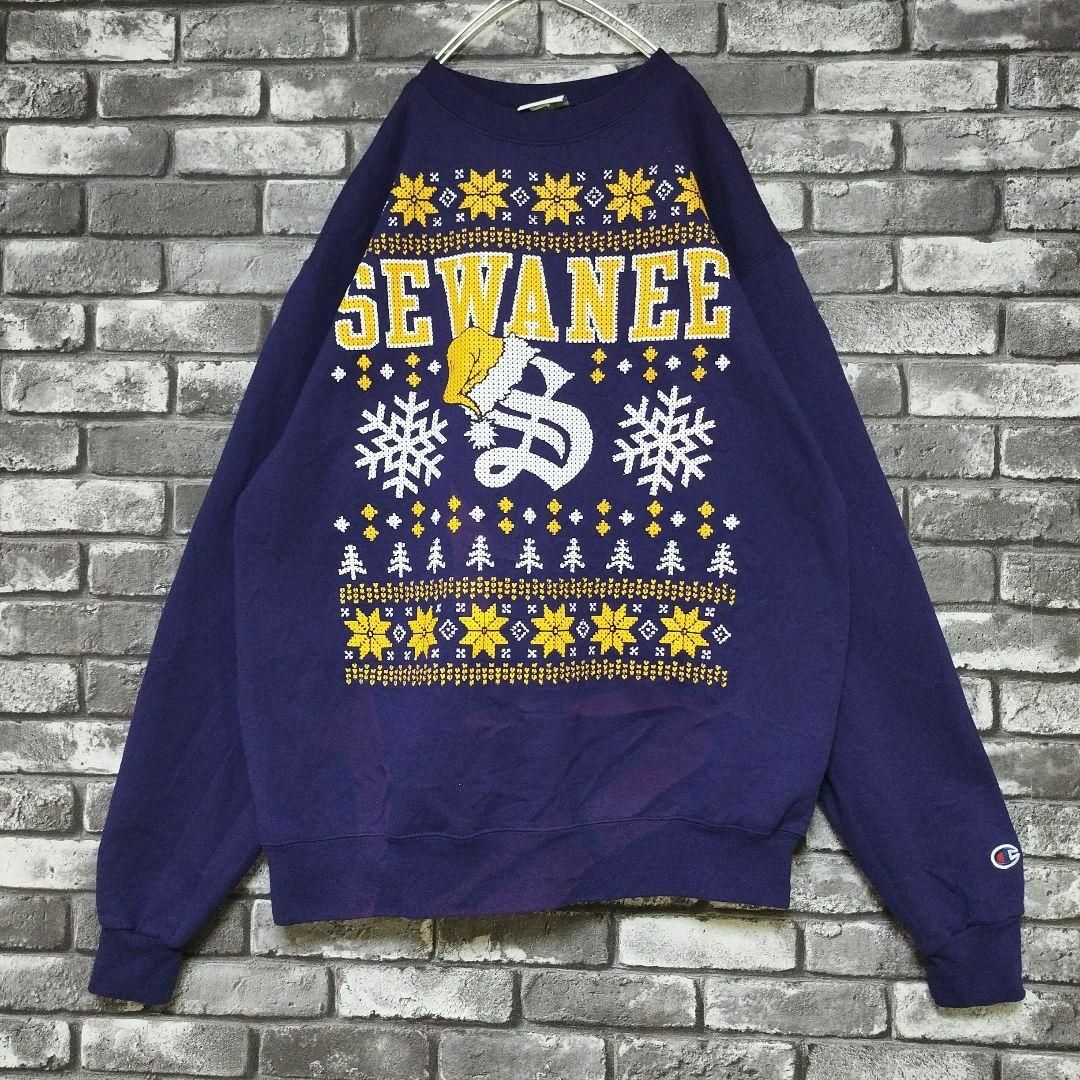 Champion - チャンピオンプルオーバースウェットトレーナー刺繍ワン