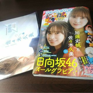 スクウェアエニックス(SQUARE ENIX)の日向坂46   ヤングガンガン  8号  付録応募券無(漫画雑誌)