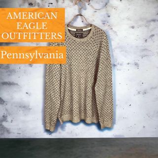 アメリカンイーグル(American Eagle)の【アメリカンイーグルアウトフィッターズ】バーズアイ ニット セーター L メンズ(ニット/セーター)