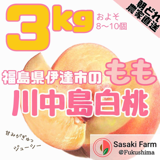 【期間限定セール！！】美味しい川中島白桃 3kgセット 8-10pcs (フルーツ)