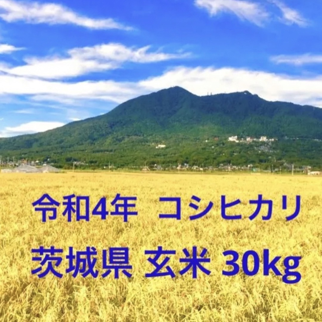 コシヒカリ　販売のため　米/穀物　PRIMAVARA　30kg　玄米　茨城県　令和4年