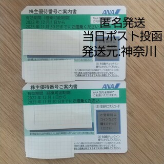 ANA株主優待券 2枚 有効期限:2023/11/30(航空券)