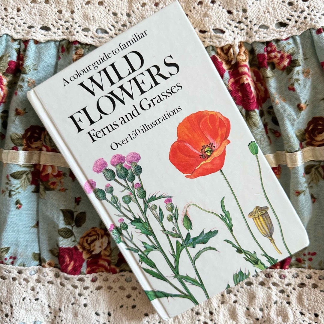 洋書　古書　WILD FLOWERS ボタニカルアート