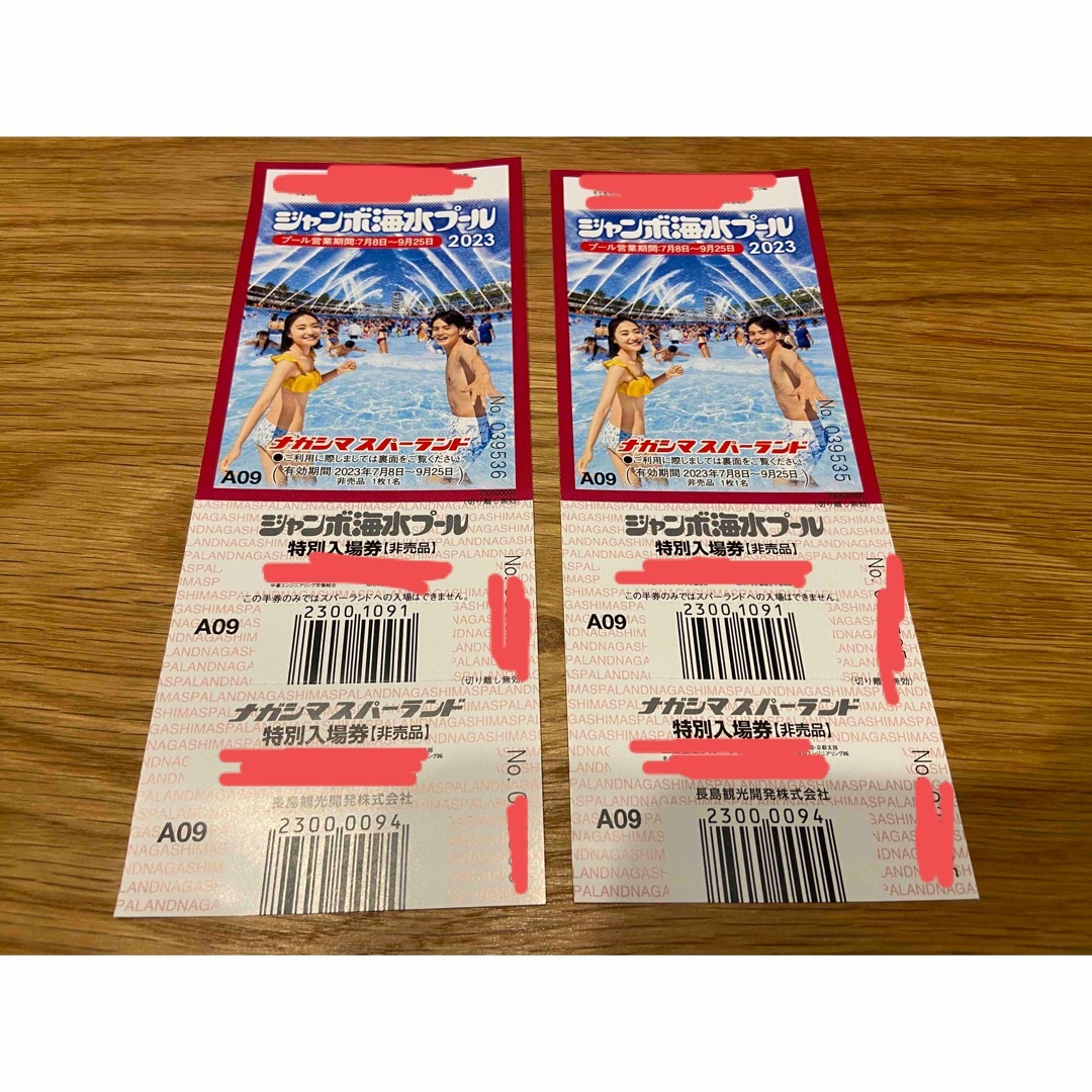 ナガシマスパーランドジャンボ海水プールチケット チケットの施設利用券(プール)の商品写真
