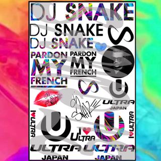 ウルトラジャパン♡タトゥーシール♡DJ Snake★1(音楽フェス)