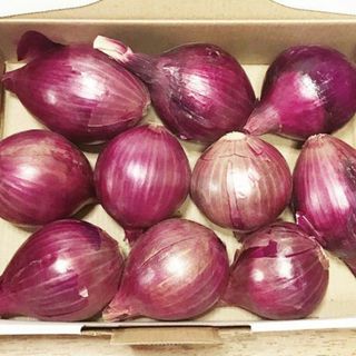 無肥料 無農薬 赤たまねぎ(1kg)☆熊本県産☆自然と共生する究極の農法☆(野菜)