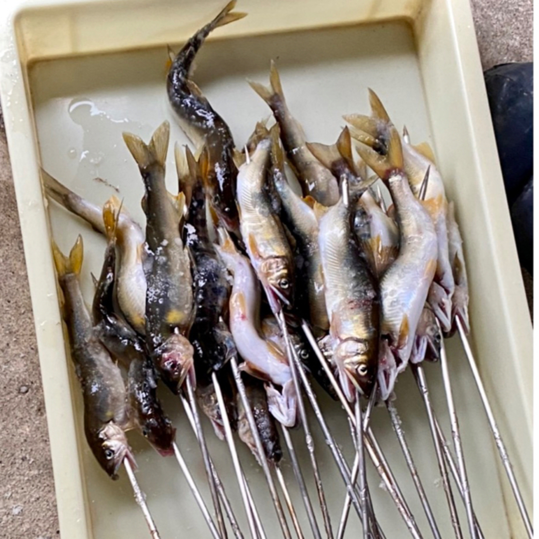 天然鮎 富山県産・20匹（約16㎝〜18㎝前後） 食品/飲料/酒の食品(魚介)の商品写真