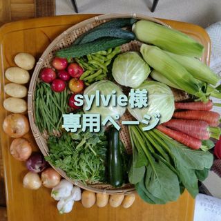 Sylvie様専用ページです(野菜)