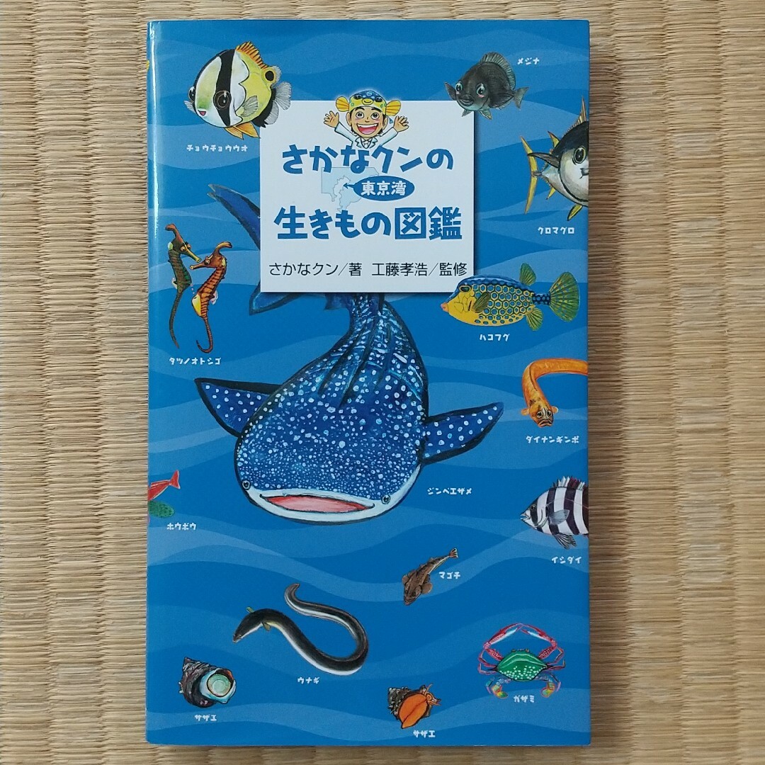 講談社(コウダンシャ)のさかなクンの生きもの図鑑 エンタメ/ホビーの本(趣味/スポーツ/実用)の商品写真