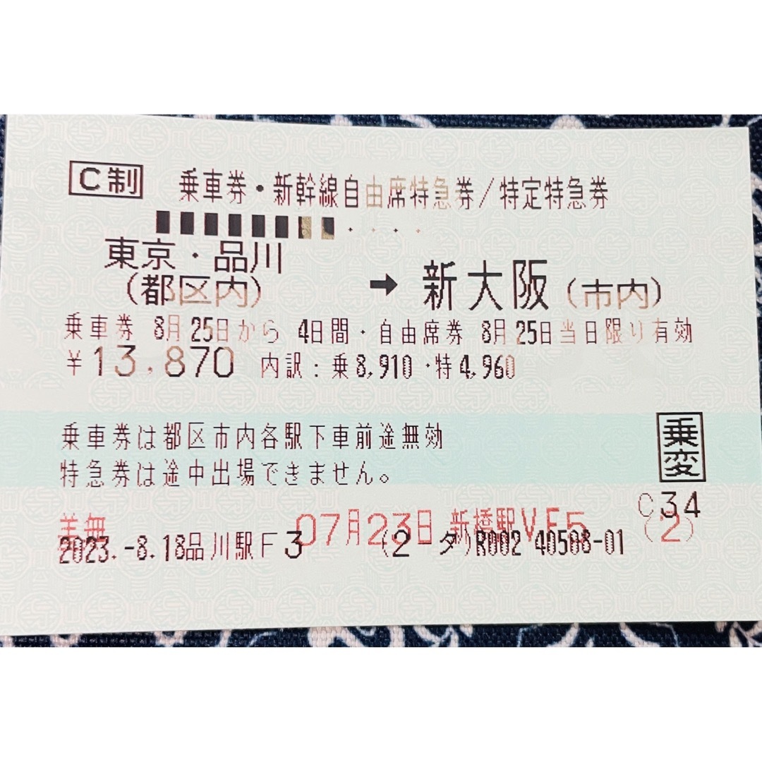 6月25日 新大阪 → 東京 指定 片道 新幹線 チケット