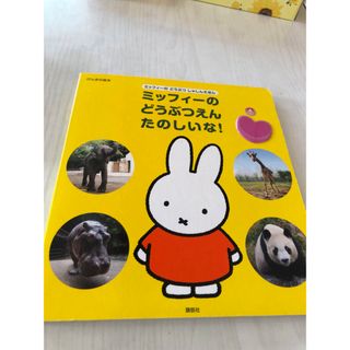 ミッフィー(miffy)のミッフィー絵本(絵本/児童書)