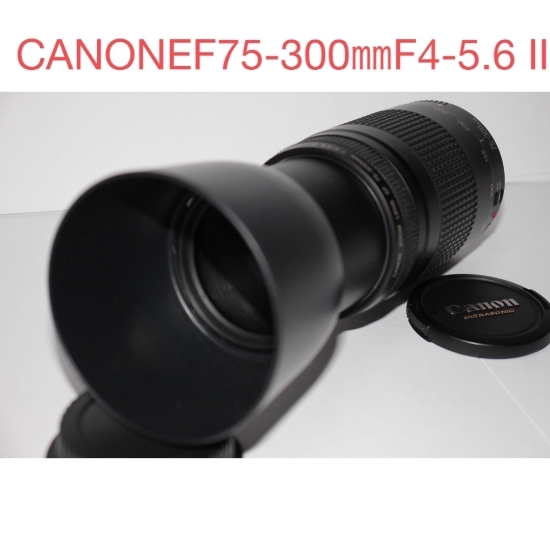 価値 【美品】キャノン CANON EF 75-300mm F4-5.6 II | www.butiuae.com