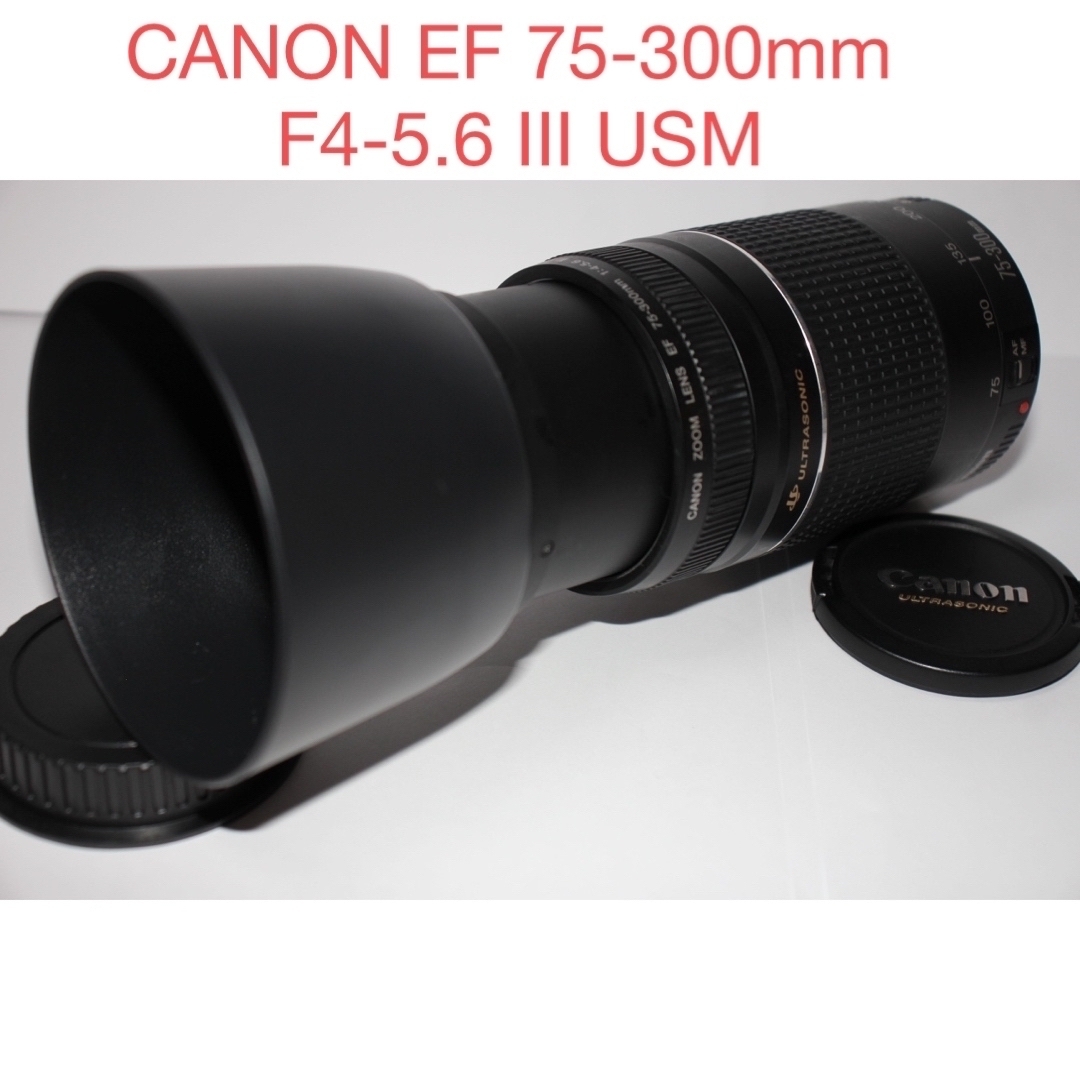 ☆キャノン☆極上品　超望遠レンズ☆Canon EF75-300㎜III USM