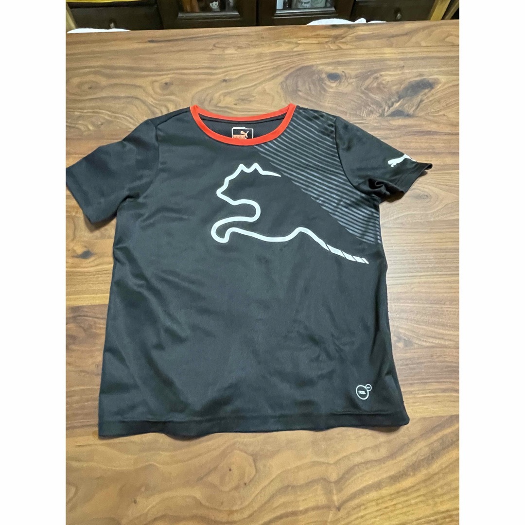 PUMA(プーマ)のプーマ　Tシャツ キッズ/ベビー/マタニティのキッズ服男の子用(90cm~)(Tシャツ/カットソー)の商品写真