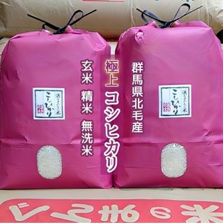 夏のセール！令和4年産！極上コシヒカリ！玄米or精米or無洗米！10(米/穀物)