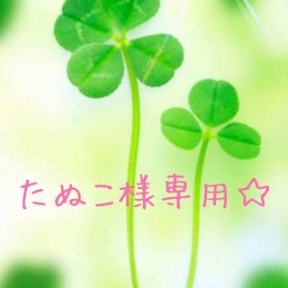 たぬこ様専用☆(野菜)