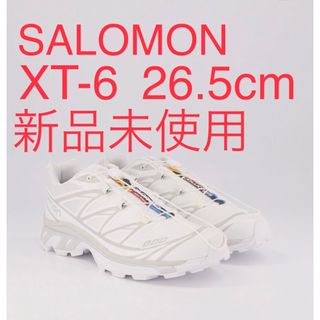 サロモン(SALOMON)の未使用！SALOMON XT-6 asics jjjound kith(スニーカー)