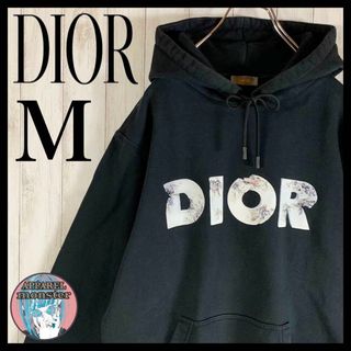ディオール(Christian Dior) パーカー(メンズ)の通販 34点