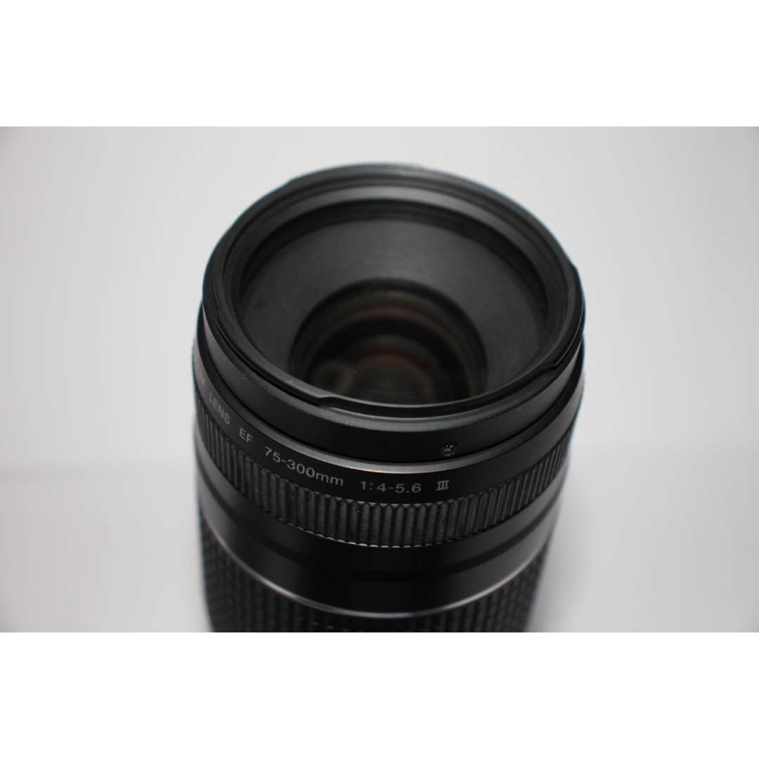 キャノン 望遠レンズ☆Canon EF75-300㎜1:4-5.6Ⅲ | tradexautomotive.com