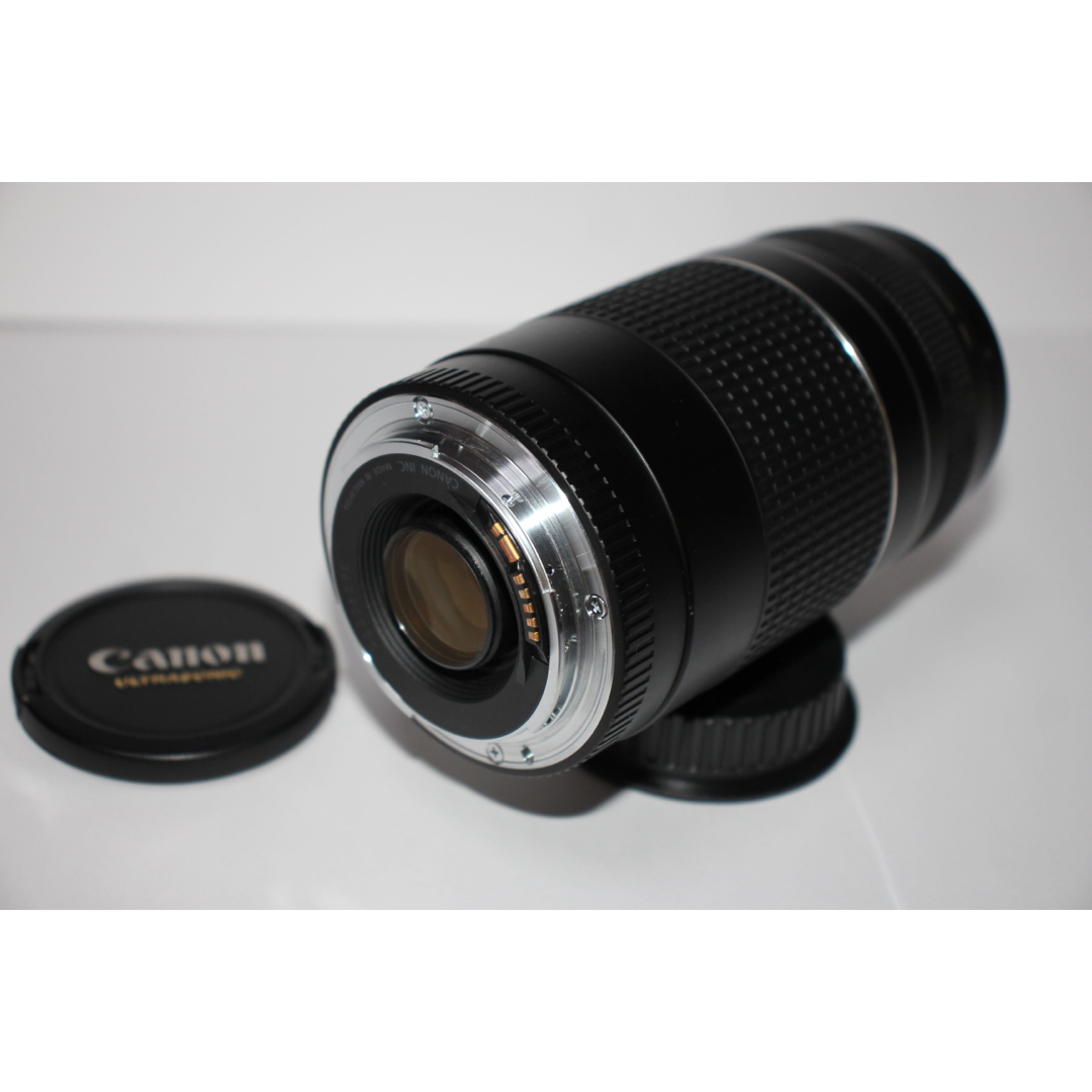 キャノン 望遠レンズ☆Canon EF75-300㎜1:4-5.6Ⅲ | tradexautomotive.com