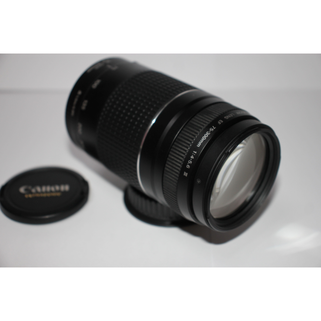 キャノン 望遠レンズ☆Canon EF75-300㎜1:4-5.6Ⅲ | tradexautomotive.com