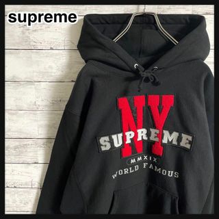 シュプリーム(Supreme)の410【即完売モデル】シュプリーム☆刺繍パイルロゴ　人気カラー　パーカー　美品(パーカー)